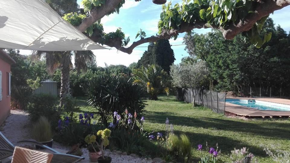 Bed and Breakfast Mas Uranie Le Soler Екстер'єр фото
