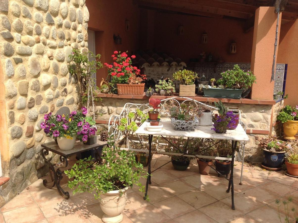 Bed and Breakfast Mas Uranie Le Soler Екстер'єр фото