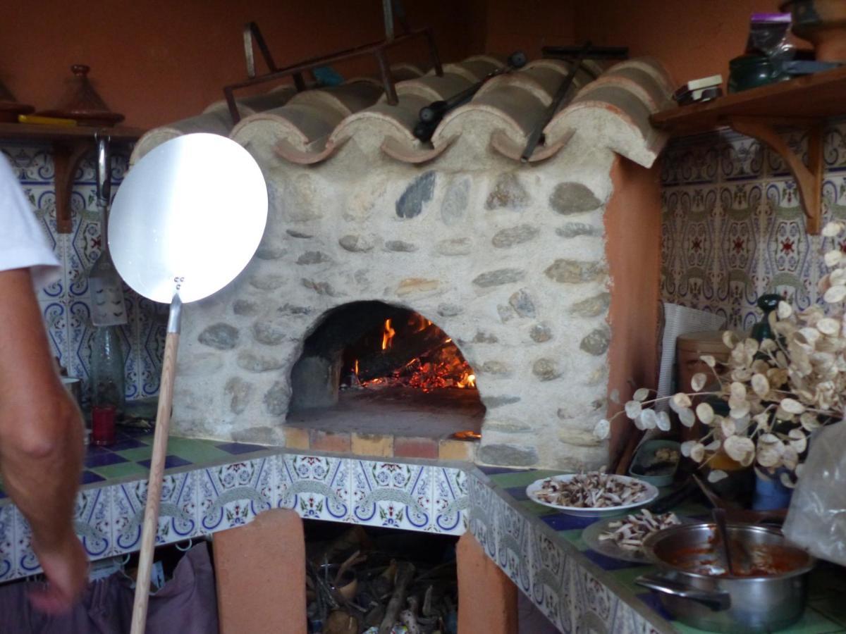 Bed and Breakfast Mas Uranie Le Soler Екстер'єр фото